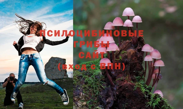 марки nbome Дмитровск