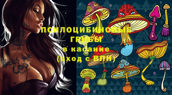 мяу мяу мука Дмитров